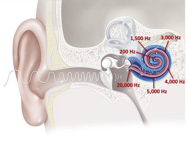 elektrikli bisiklet cesitleri